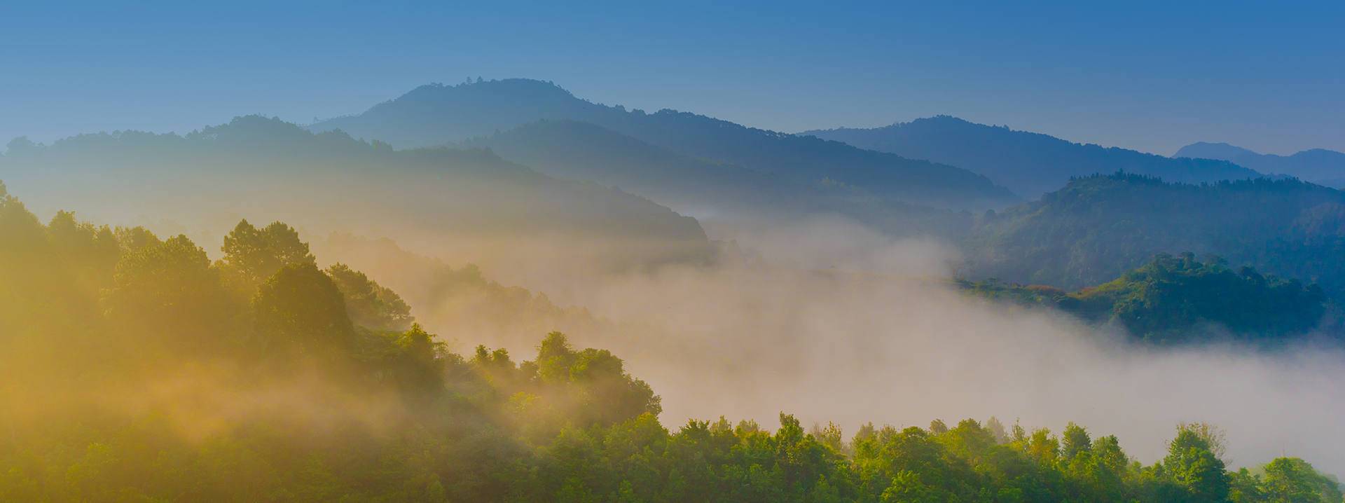 今年会 | 官方网站