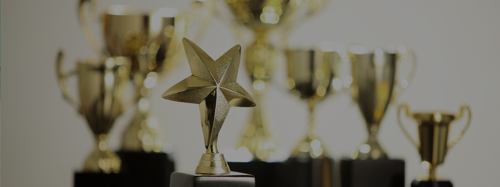 今年会 | 官方网站