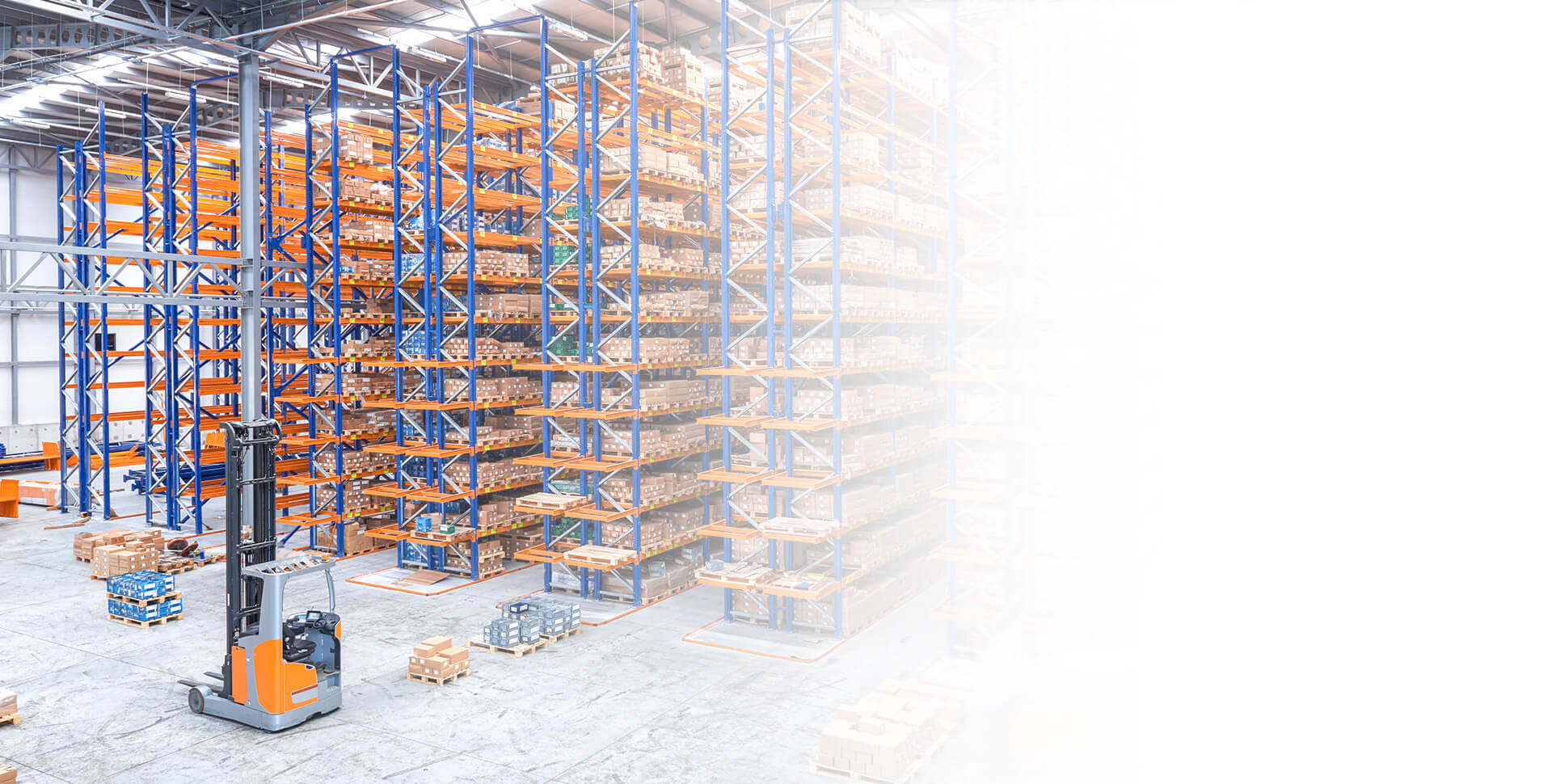 今年会 | 官方网站