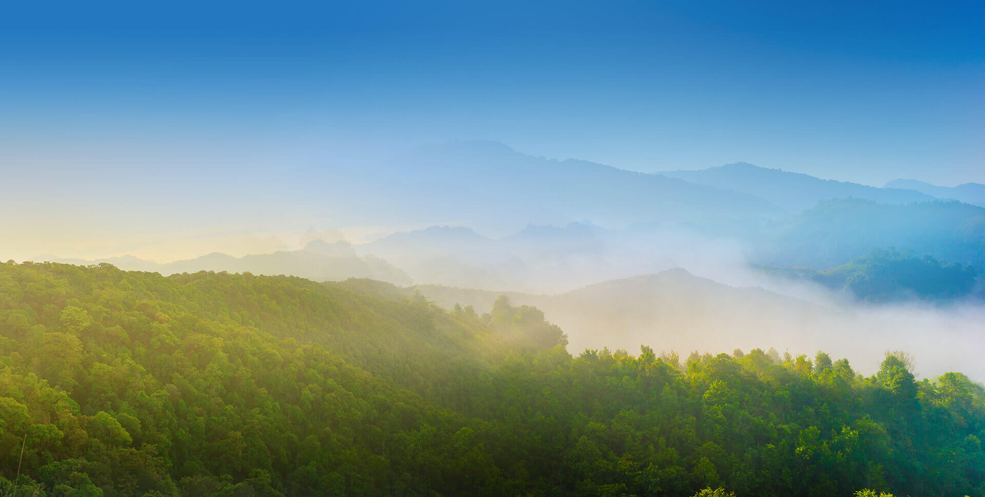 今年会 | 官方网站